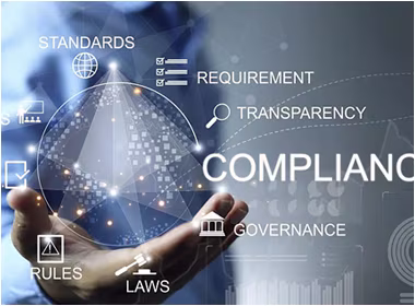 Standards & Compliance – constraint, assurance, and long‑term governance