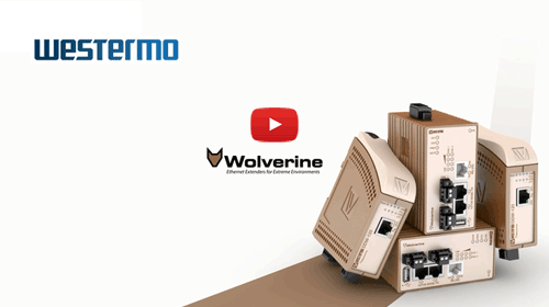 Wolverine - Extend your network far beyond the normal limits of Ethernet